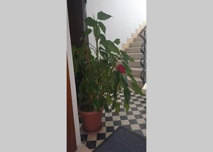 Dado Apartamento