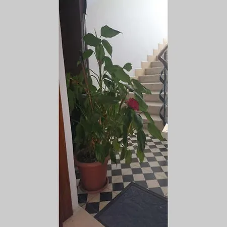 Dado Apartment